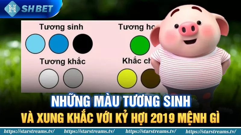 Khám Phá Kỷ Hợi Sinh Năm 2019 Mệnh Gì Chính Xác 3 Màu tương sinh và xung khắc với Kỷ Hợi 2019 mệnh gì